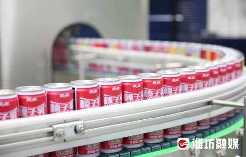 潍观 创新之道引领城市跃升