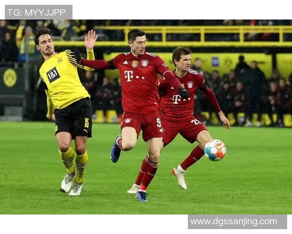 英国足球明星的一天：训练场上的汗水与赛场上的荣耀